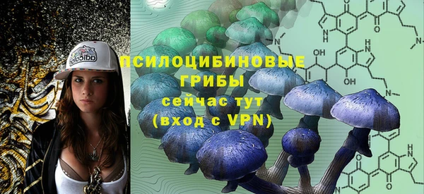 mdpv Бронницы