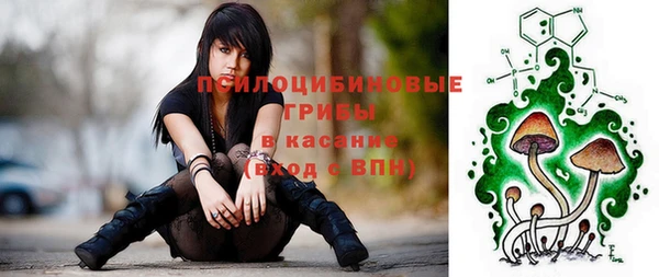 mdpv Бронницы