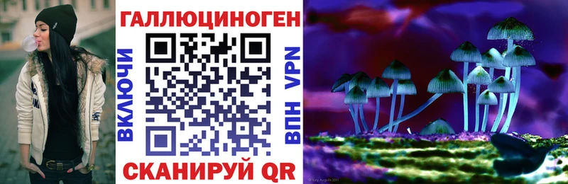 как найти закладки  Ветлуга  Галлюциногенные грибы мицелий 